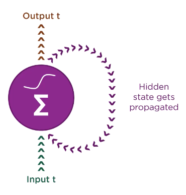Feedback Loop