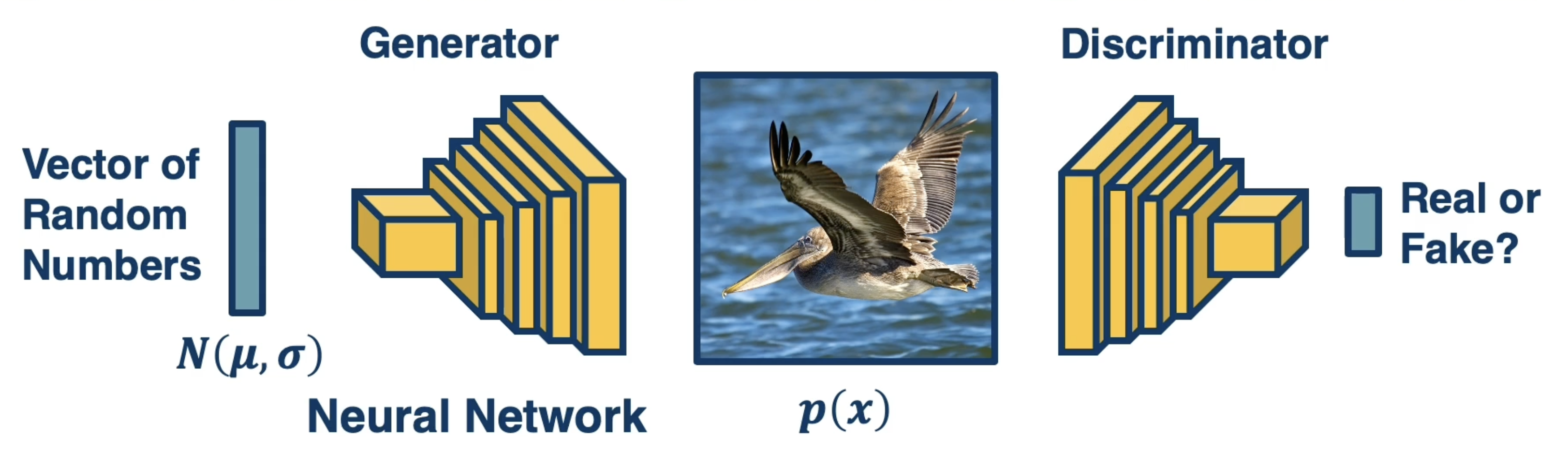 gans