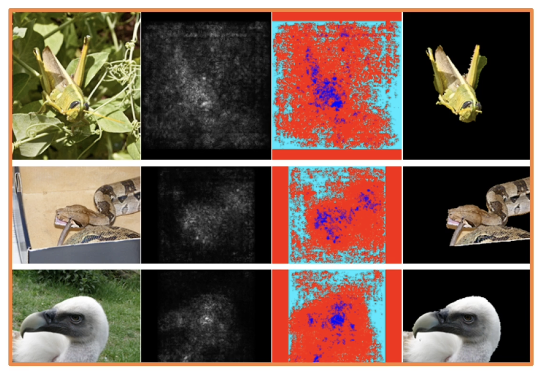 saliency-map