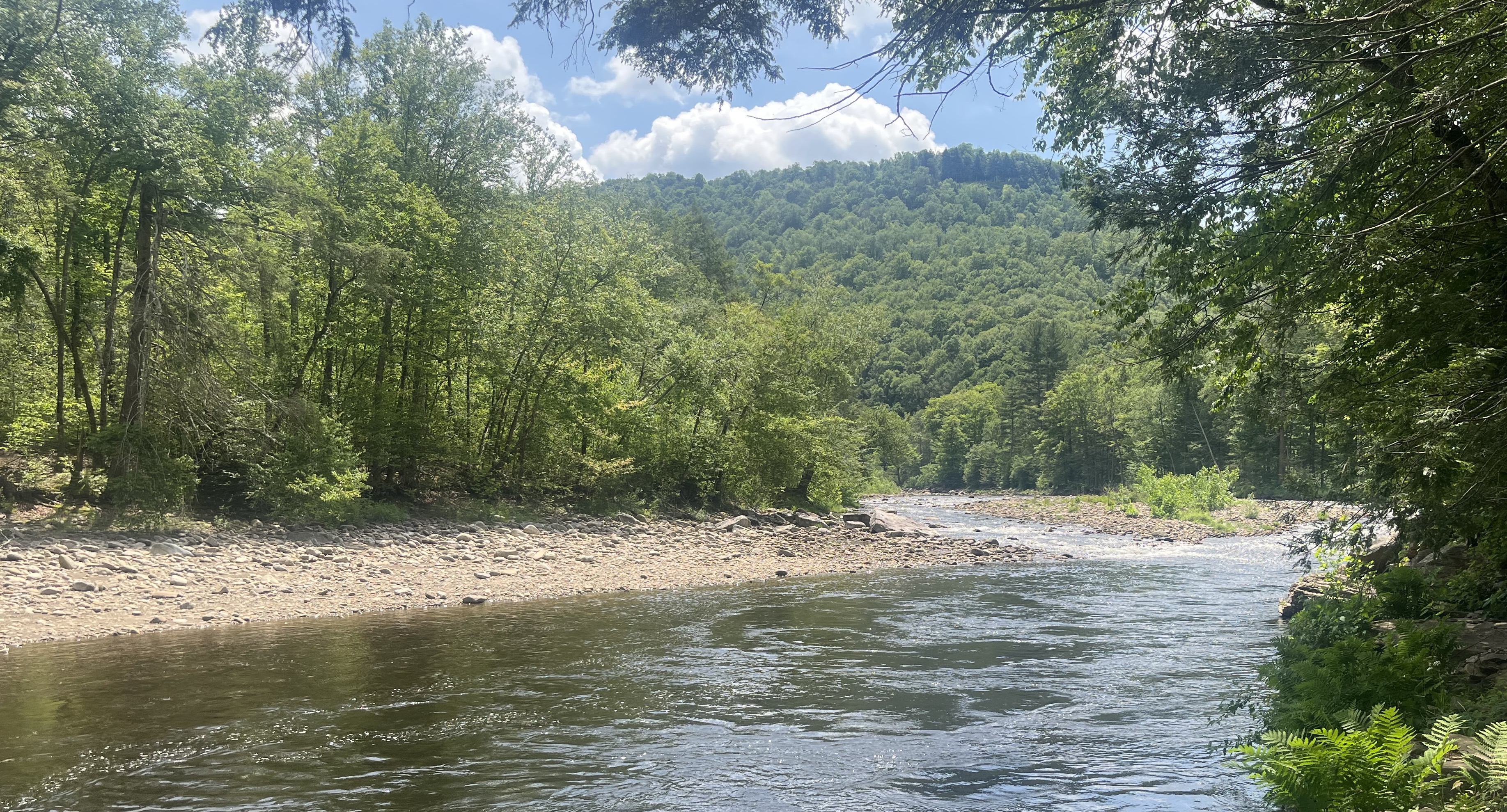 loyalsock-creek