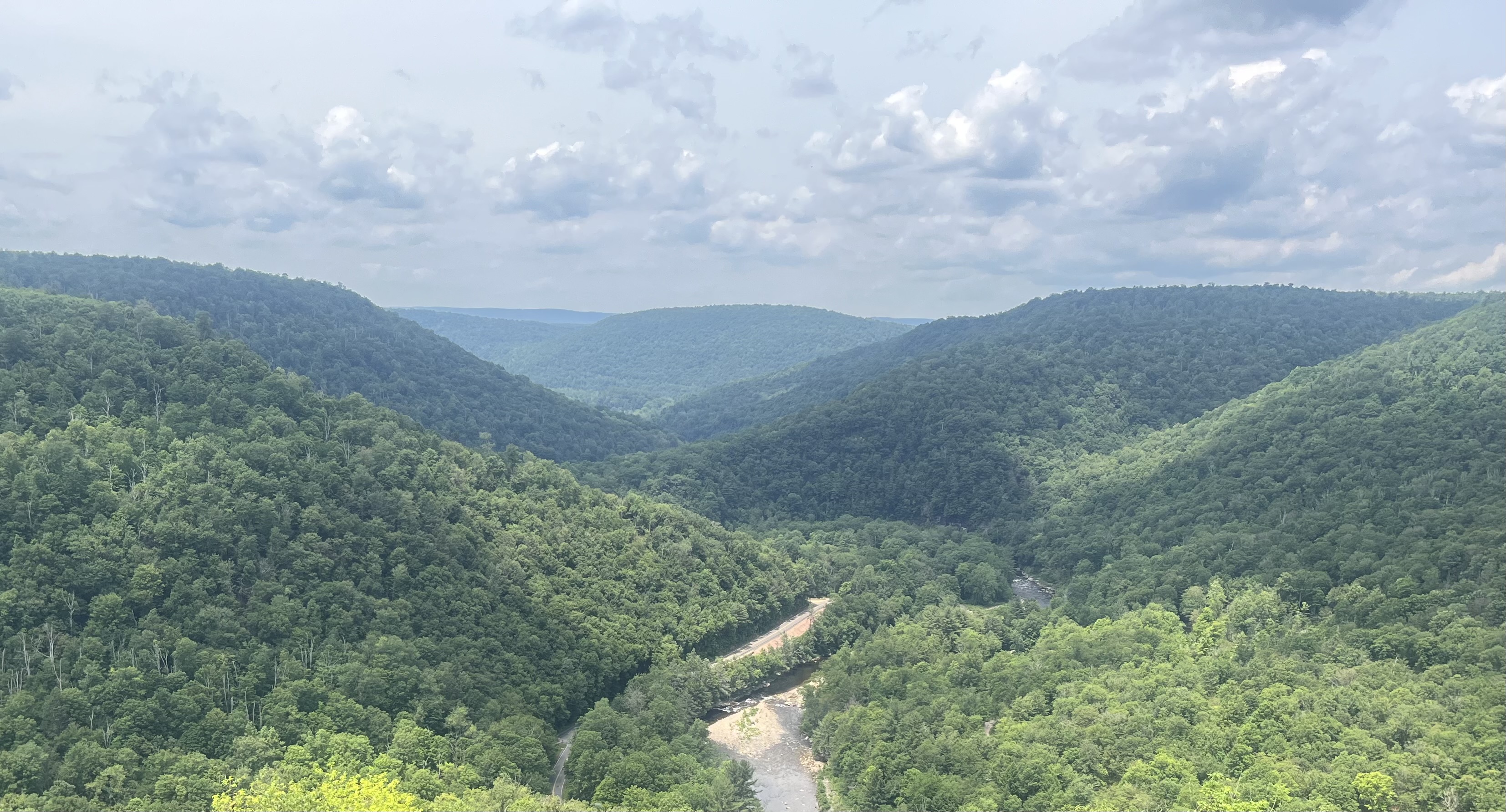 loyalsock-canyon-vista