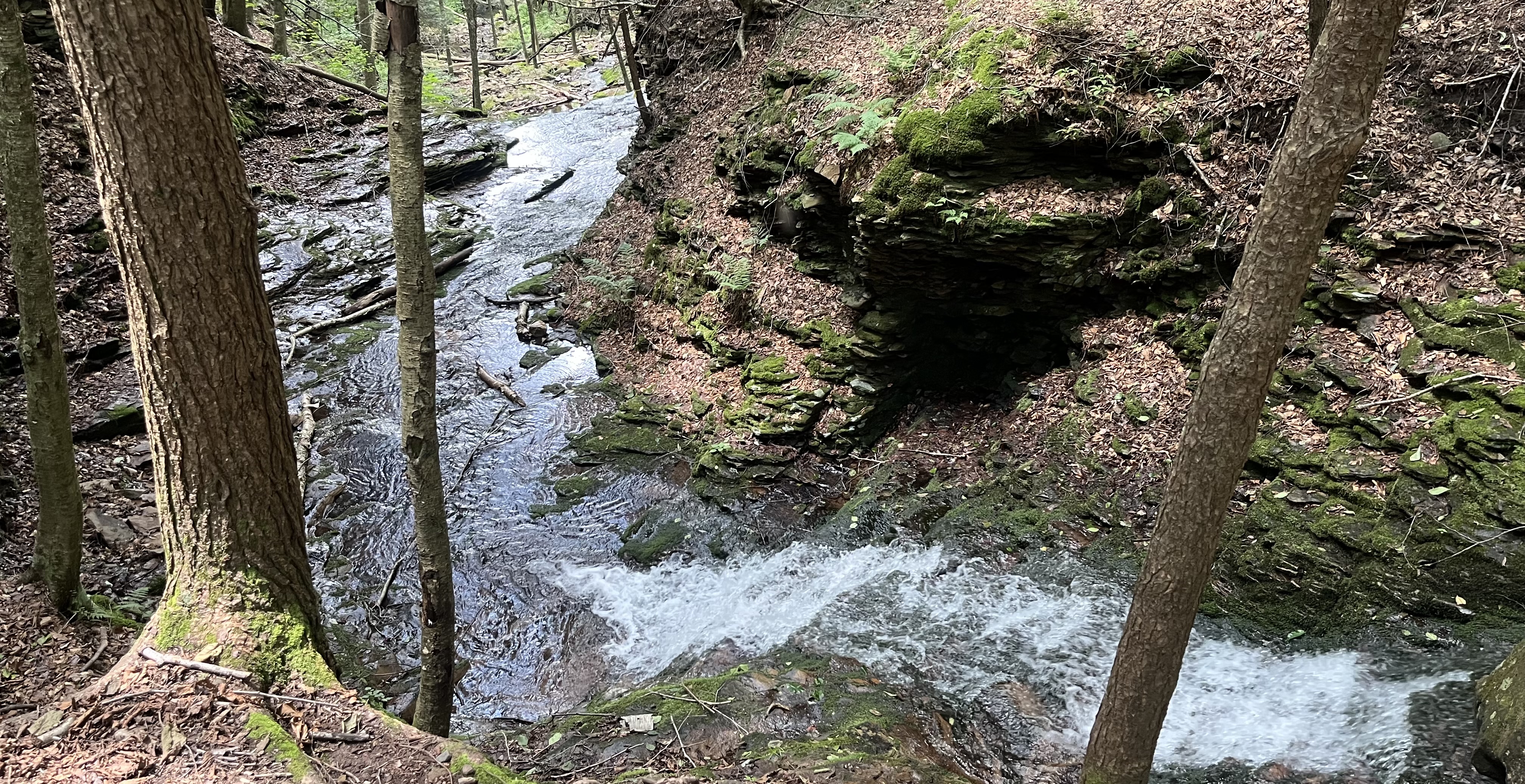 second-half-creek